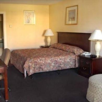 Super 8 By Wyndham Dover Oda fotoğraf